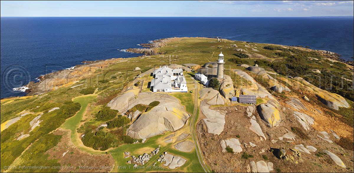 Peter Bellingham Photography Montague Island - NSW T (PBH4 00 9640)